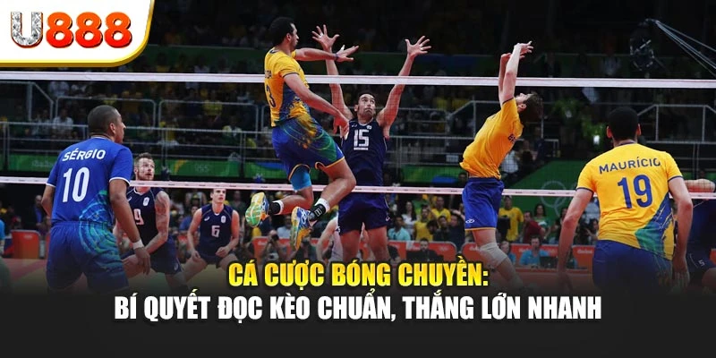 Cá cược bóng chuyền: Bí quyết đọc kèo chuẩn, thắng lớn nhanh