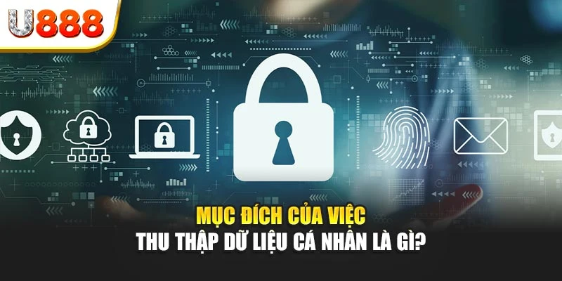 Mục đích của việc thu thập dữ liệu cá nhân là gì